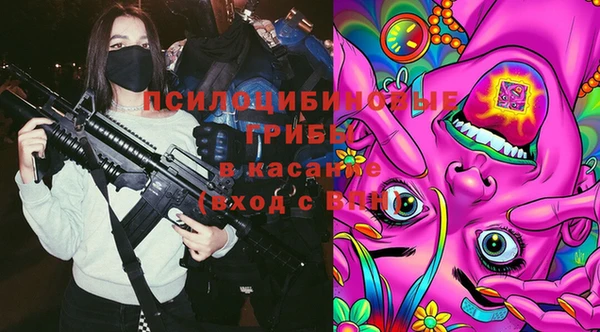 2c-b Гусь-Хрустальный