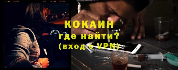 гидра Гусев