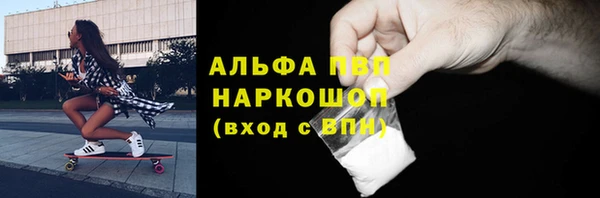 гидра Гусев
