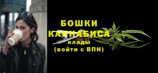 метадон Гусиноозёрск