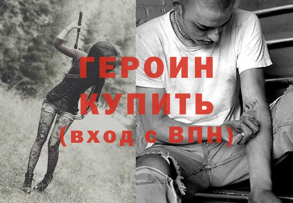 гидра Гусев