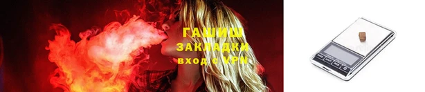 гидра Гусев