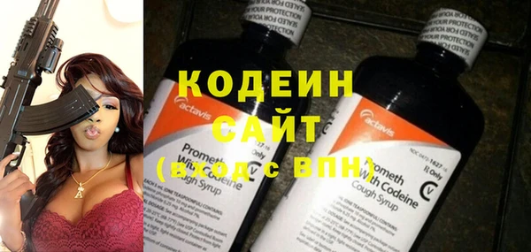 гидра Гусев
