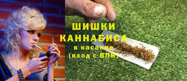 гидра Гусев